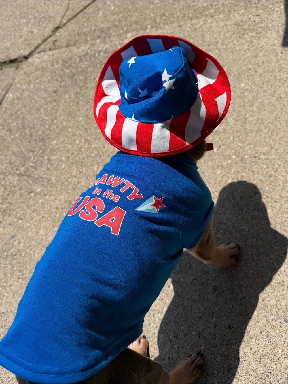 Top Paw Blue 'Pawty in the USA' Dog Tee with Patriotic Bucket Hat